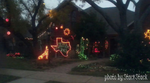Cactus Christmas lights (photo by Staci Stack)
