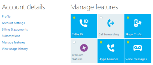 Log into Skype