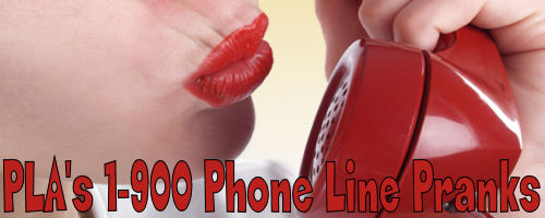 Prank Calls to 1-900 Numbers