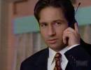 "Mulder."