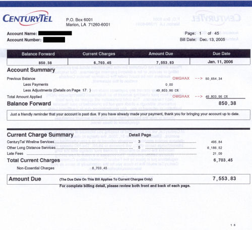 large phone bill