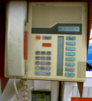 Staples Store Phone