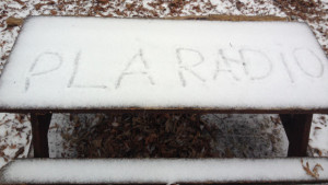 Thanks for this picture, Noah!